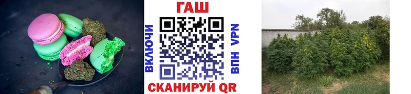 mega tor это официальный сайт Cannafood конопля Гурьевск