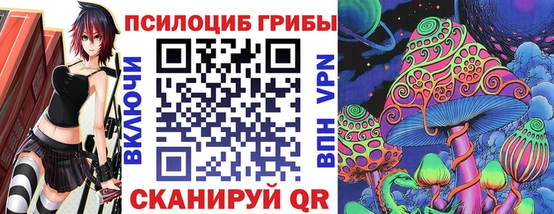 mega как войти  купить наркотик  Гурьевск  Псилоцибиновые грибы ЛСД 