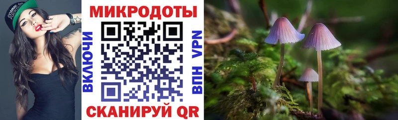 Галлюциногенные грибы Cubensis Гурьевск